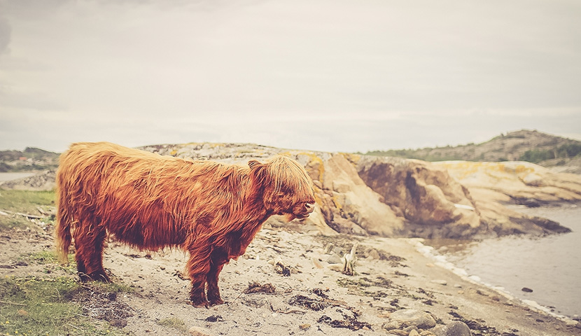 艾皇手机号测压