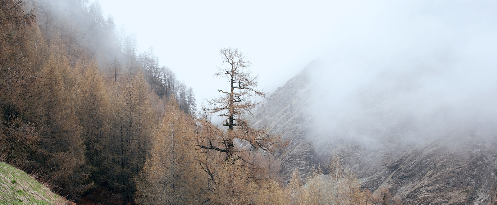 短信轰在线轰炸免费网站