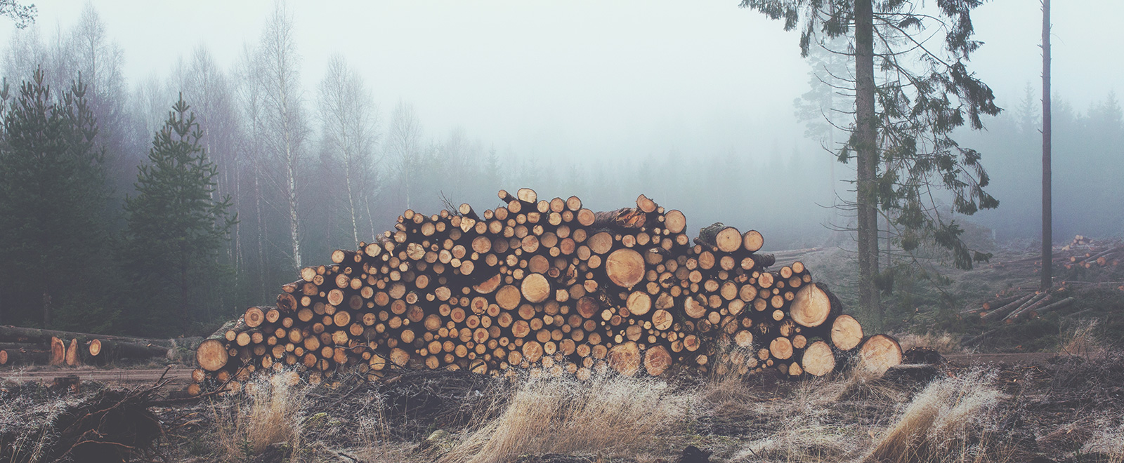 免费手机号轰炸机